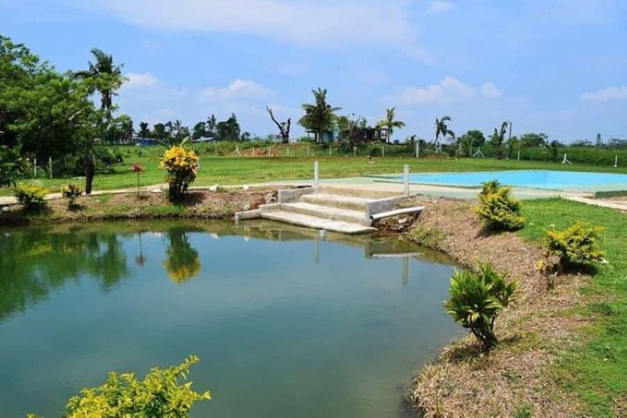 Nadi: Mud Pool and Hot Spring Private Tour - How the timing shapes your day