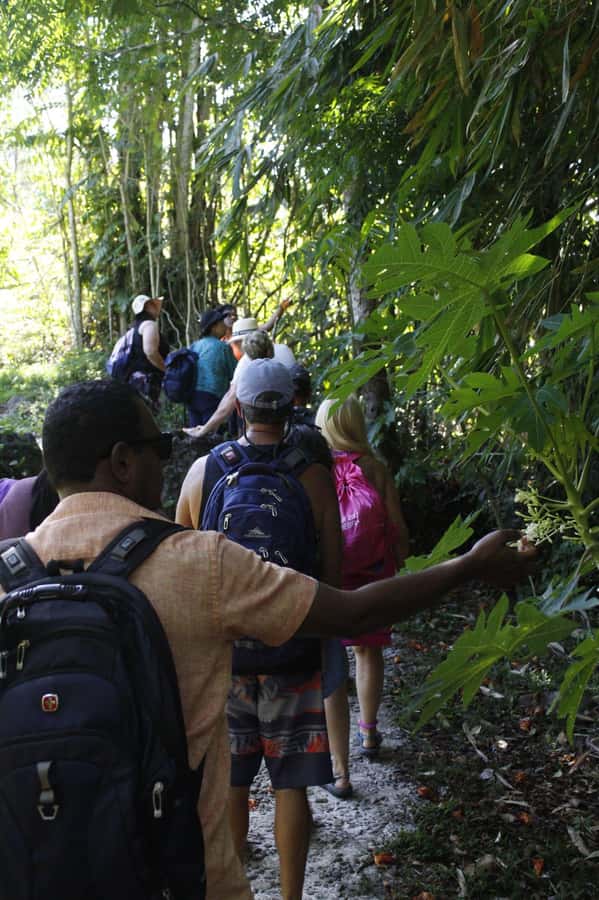 NADI: Nalesutale Village Half Day Tour - Walking Through the Mount Batilamu Rainforest