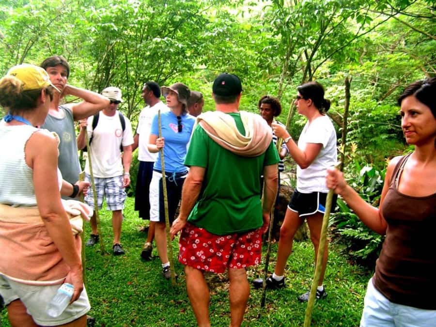 NADI: Nalesutale Village Half Day Tour - The Welcome Ceremony and Life in Nalesutale Village