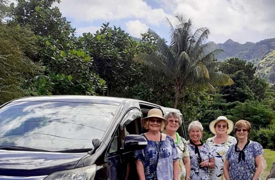 Nadi: Private Tour with Temple, Garden, Markets & Mud Pools - Getting Muddy at Sabeto Hot Springs and Mud Pool