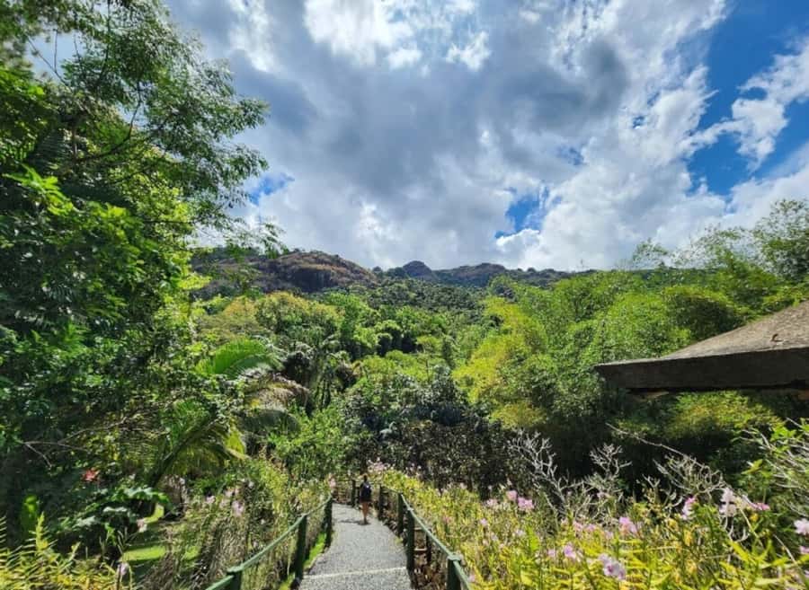 Nadi: Private Tour with Temple, Garden, Markets & Mud Pools - The Five-Hour Schedule and Transport