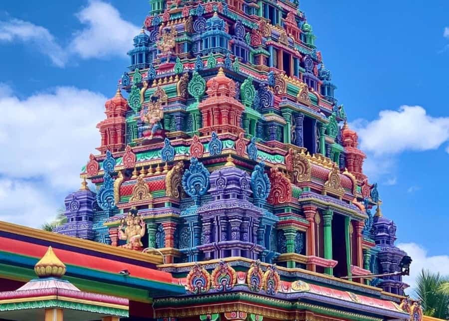 Nadi: Private Tour with Temple, Garden, Markets & Mud Pools - Who Should Book This Experience?