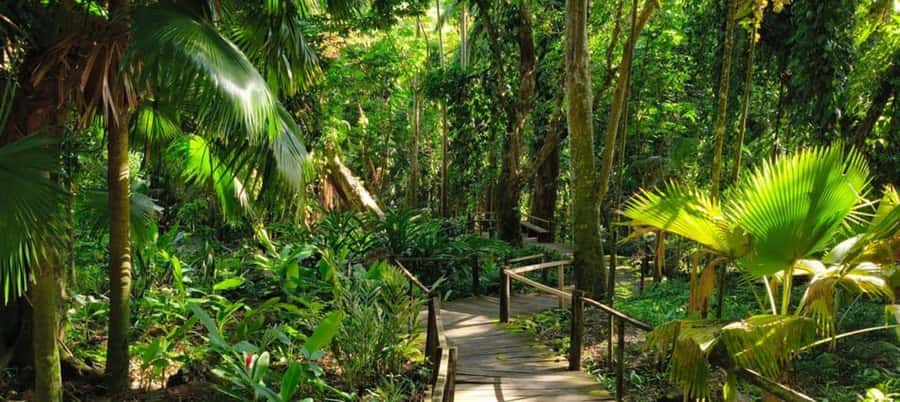 NADI-SABETO: Exquisite Orchid Garden with Hotspring Mudpool - Key points to know before you go