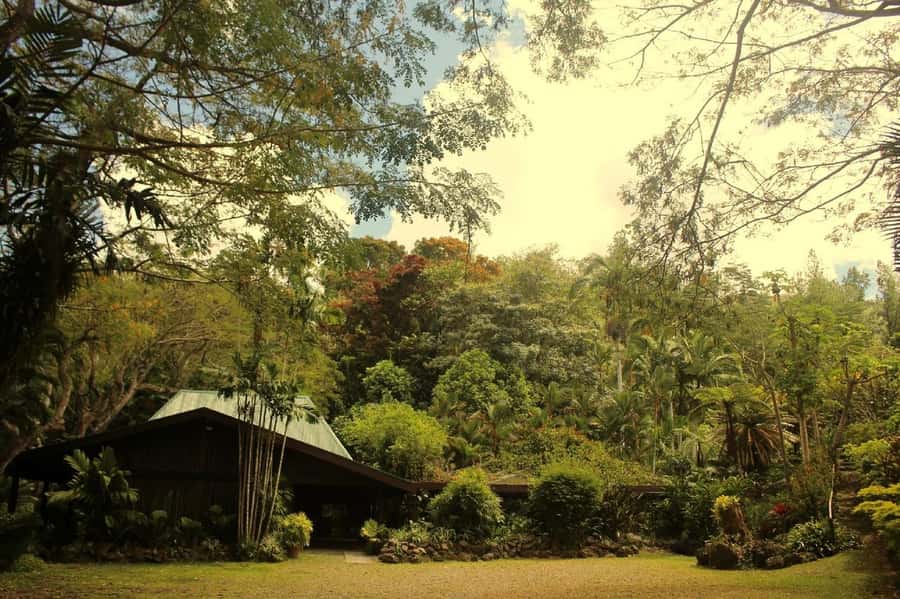 NADI-SABETO: Exquisite Orchid Garden with Hotspring Mudpool - The people can shape the whole day