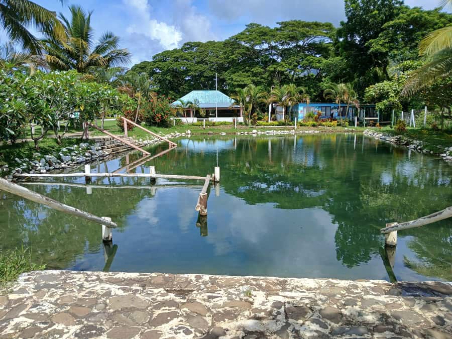NADI-SABETO: Exquisite Orchid Garden with Hotspring Mudpool - Timing, comfort, and what to pack