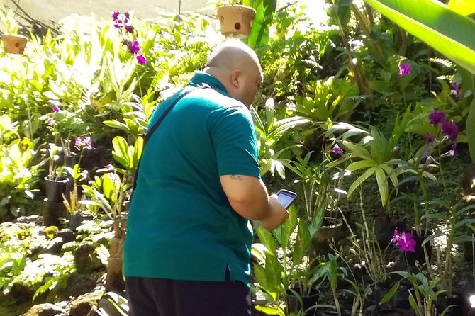 Nadi Sightseeing Including Viseisei Lookout, Village Tour, Garden & Temple Tour - The guide can make or break the day
