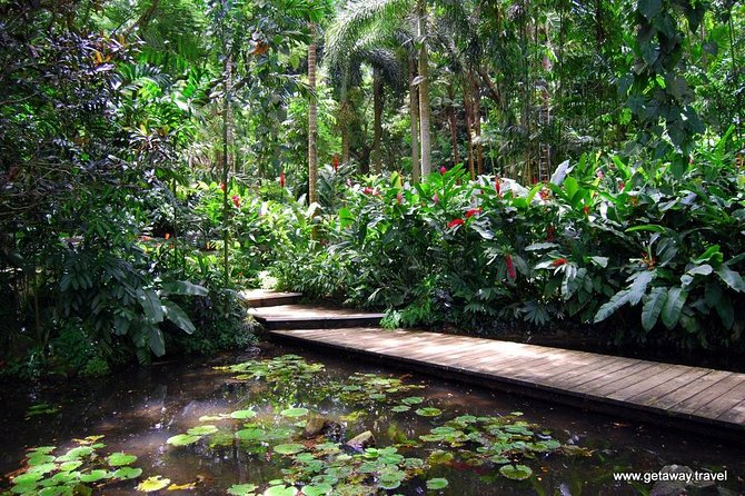 Nadi Sightseeing & Mud Pool Tour - Ex Fiji Marriott, Momi Bay - Why this six-hour outing works from Momi Bay