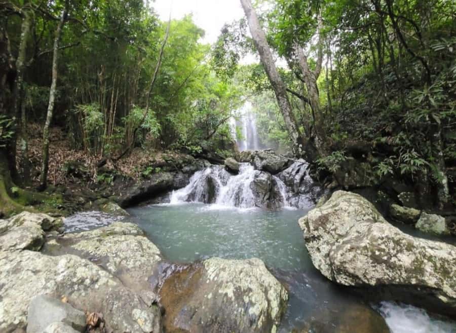 Nadi: Waterfall Tour Adventure with Refreshments and Lunch - What makes this Nadi waterfall outing special
