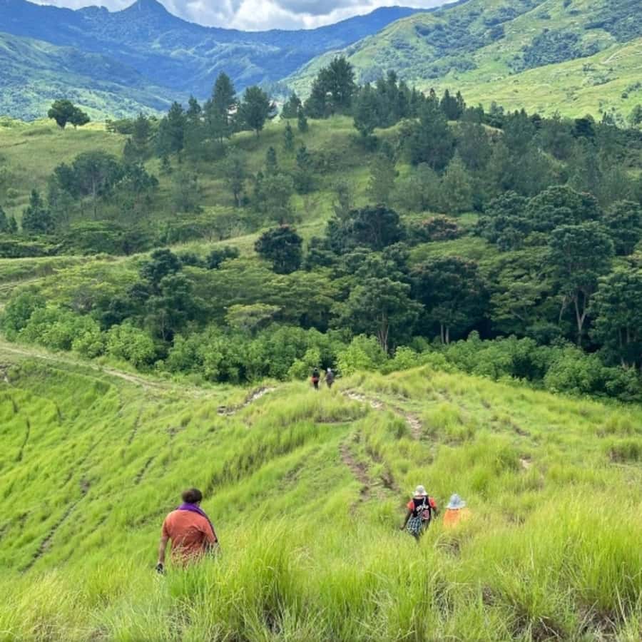 Nadi: Waterfall Tour Adventure with Refreshments and Lunch - Who should book this five-hour adventure?