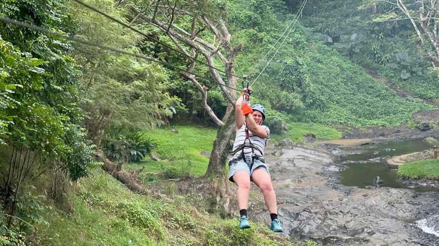 Nadi: Zipline, Waterfalls, and Jungle Safari Tour with Lunch - Seven ziplines above the Fijian rainforest