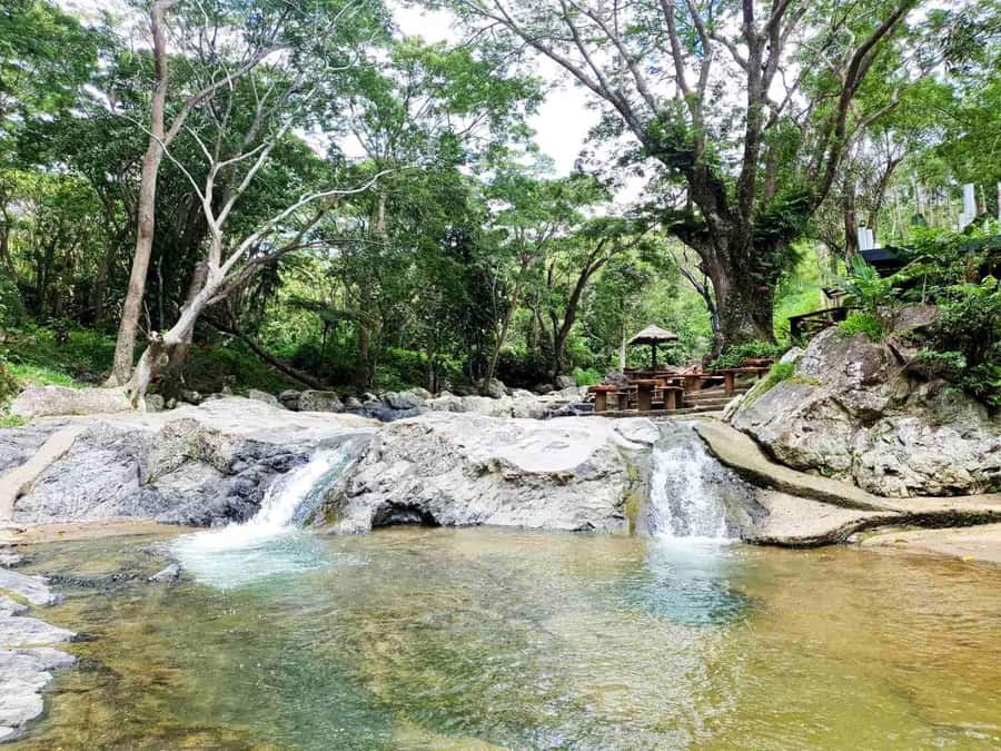 Nadi: Zipline, Waterfalls, and Jungle Safari Tour with Lunch - Riverside lunch among streams and trees
