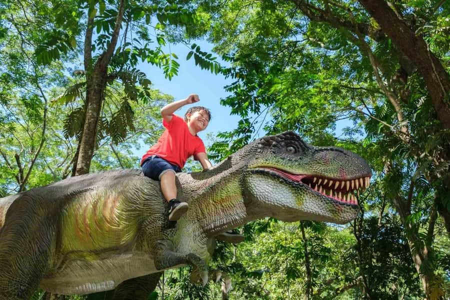 Nadi: Zipline, Waterfalls, and Jungle Safari Tour with Lunch - What to pack for comfort and safety
