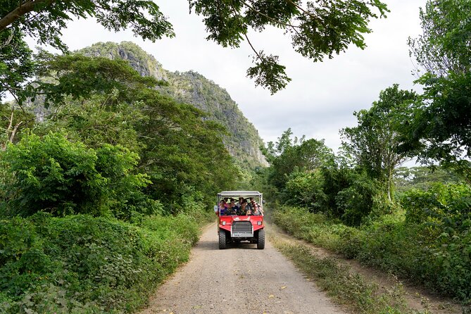 Naihehe Cave Safari in Sigatoka with BBQ Lunch - Who will enjoy this Fiji adventure most