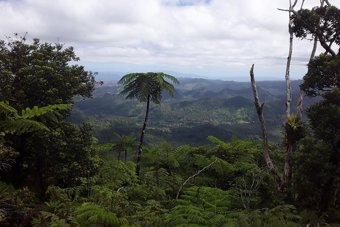 Private Breathtaking Mnt Victoria Day Trek - Mount Tomanivi, Fiji’s 4,341-foot high point