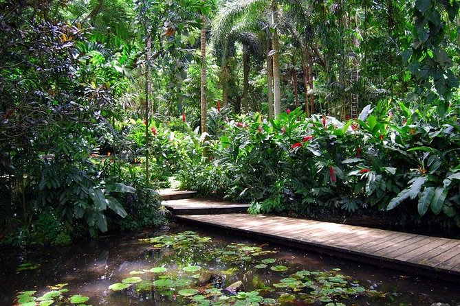 Private Lautoka Shore Excursion including Viseisei Village - A useful shore day from Lautoka