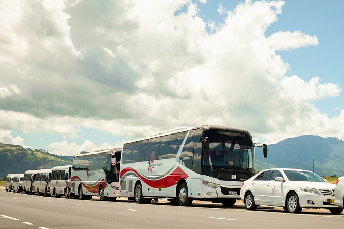 Private Nadi Airport Arrival Transfer Shuttle Charter - Child seats, service animals, and practical comfort