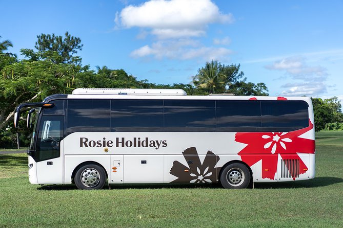 Private Premium Departure Transfer : Hotel to Nadi Airport - Booking details that deserve attention