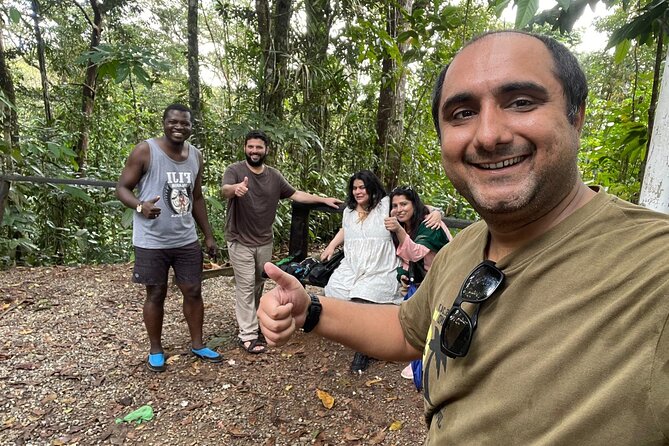 Private Suva Nature and Waterfall Tour - Forest plants, birds, and a slower pace