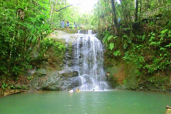 Private Suva Nature and Waterfall Tour - Who should book this tour?