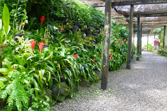 Private Tour: Best of Nadi Highlights - Viseisei Village and Fiji’s early story