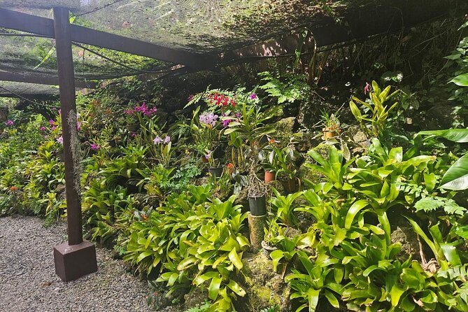 Private Tour: Best of Nadi Highlights - Sabeto Hot Springs and Mud Pool