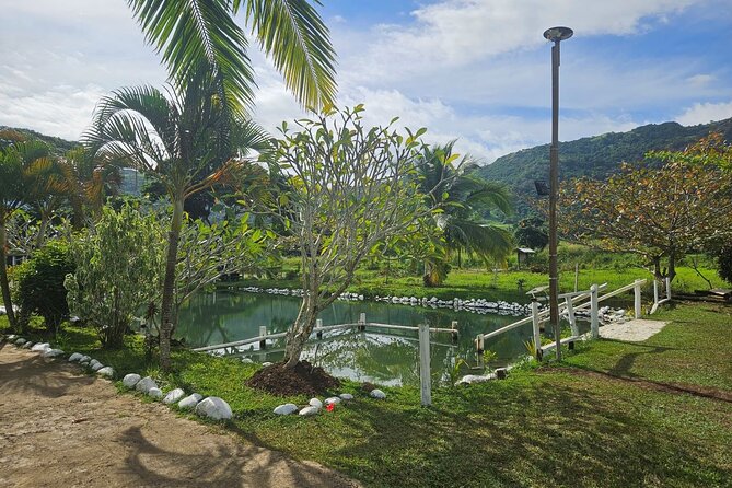 Private Tour: Hot spings & Sleeping Giant Garden hiking Adventure - Why the private format can be worth the price