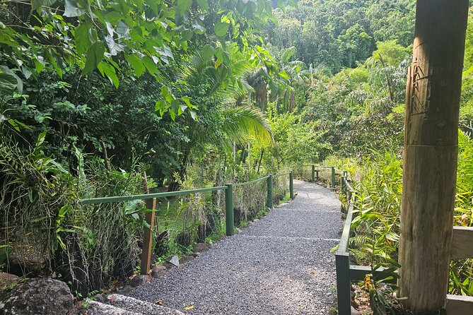 Private Tour: Hot spings & Sleeping Giant Garden hiking Adventure - Who will enjoy this Fiji tour most