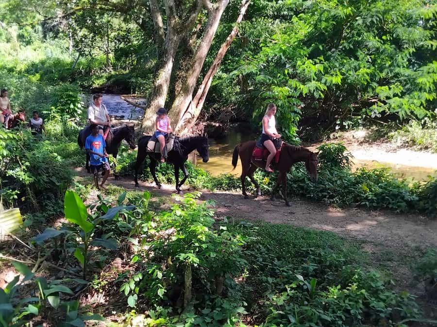 Private Tour: Pacific's Largest Dunes & Famous Waterfall - Key Points Before You Book