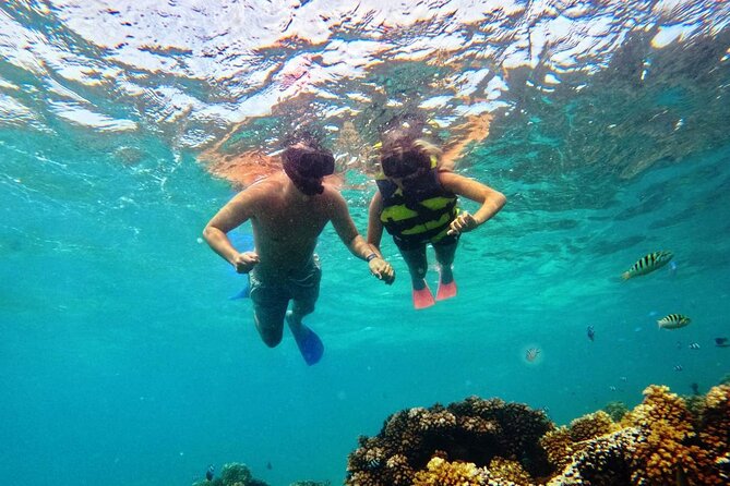 Ride & Slide by South Sea Cats - Half Day Snorkelling Trip - Food, drinks, and the afternoon rhythm
