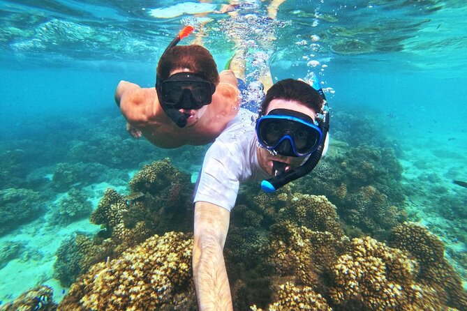 Ride & Slide by South Sea Cats - Half Day Snorkelling Trip - Who should book this trip?