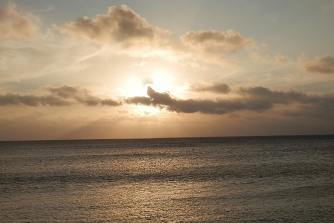 Round The Island Day Trip Fiji- Viti Levu - Pacific Harbour and a short look at Fijian culture