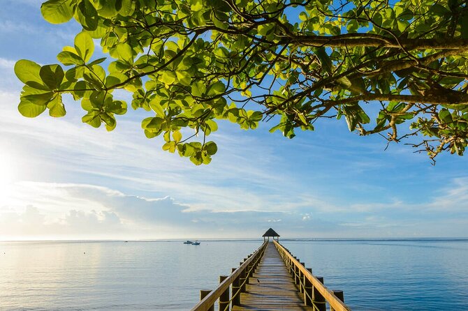 Round The Island Day Trip Fiji- Viti Levu - Nausori, Korovou, and ordinary island life