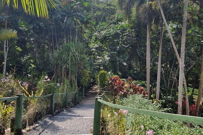 Round The Island Day Trip Fiji- Viti Levu - Tailevu Province and the changing road views