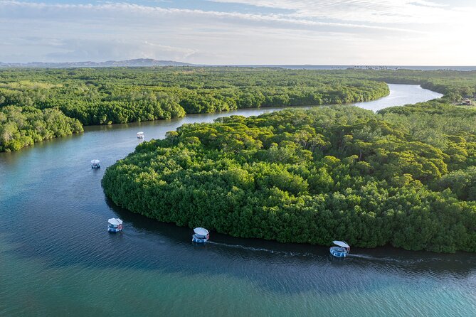 Self Drive BBQ eBoat Cruise with Onboard BBQ Denarau Fiji - Setting Off From Port Denarau Marina