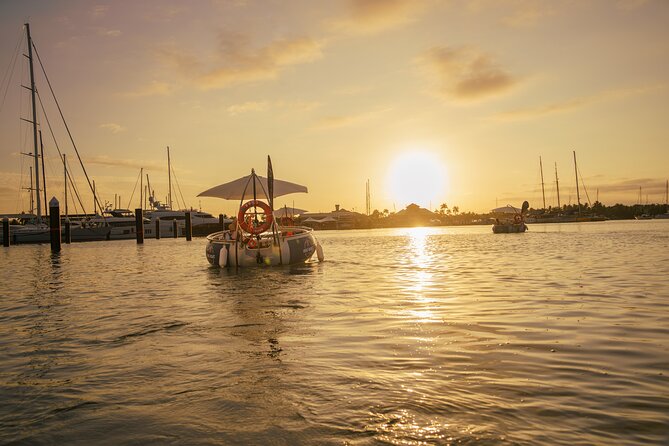 Self Drive BBQ eBoat Cruise with Onboard BBQ Denarau Fiji - What Could Disappoint You