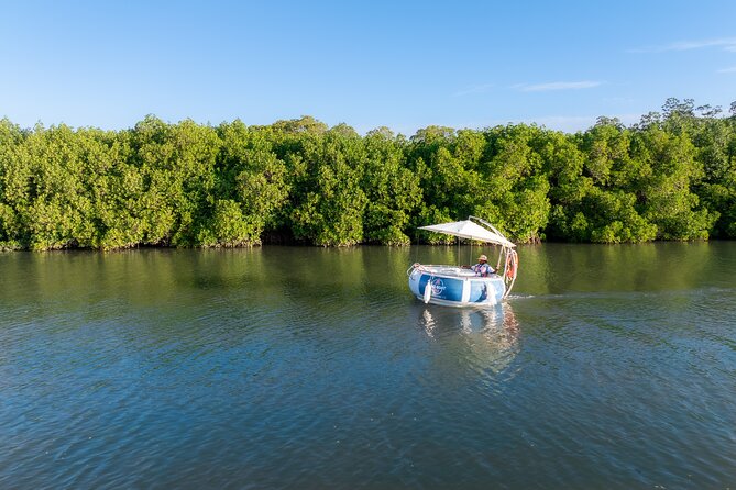 Self Drive BBQ eBoat Cruise with Onboard BBQ Denarau Fiji - Cruising Through Denarau’s Mangrove Waterways
