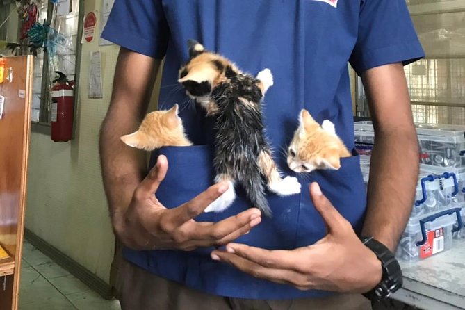 Shelter Visit & Tour - Helping pets prepare for adoption