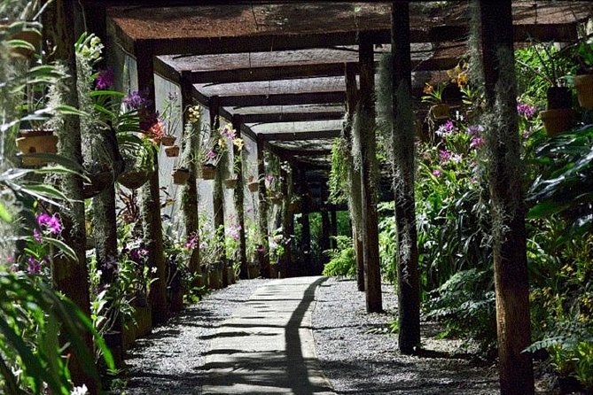 Shore Excursion-Nadi Mudpools,Sleeping Giants Gardens,Markets, Temple & Shopping - Starting at Lautoka Market