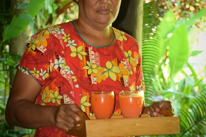 Shore Excursion-Nadi Mudpools,Sleeping Giants Gardens,Markets, Temple & Shopping - The Sabeto mud pools are the big event