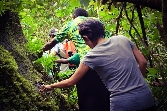 Small Group Hiking Adventure - Hidden Peaks - Lunch in a Fijian home