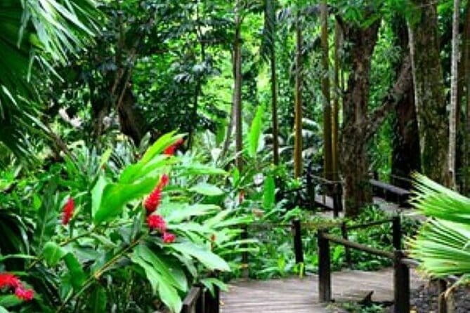 South Sea Island Half Day with Lunch & Drinks - How much value do you get for $85.68?