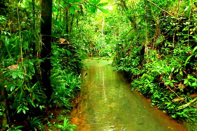 Suva Customized tour- Private - Sunday closures and other timing concerns