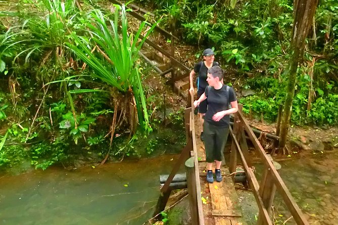 Suva Customized tour- Private - Thurston Botanical Gardens and the Fiji Museum