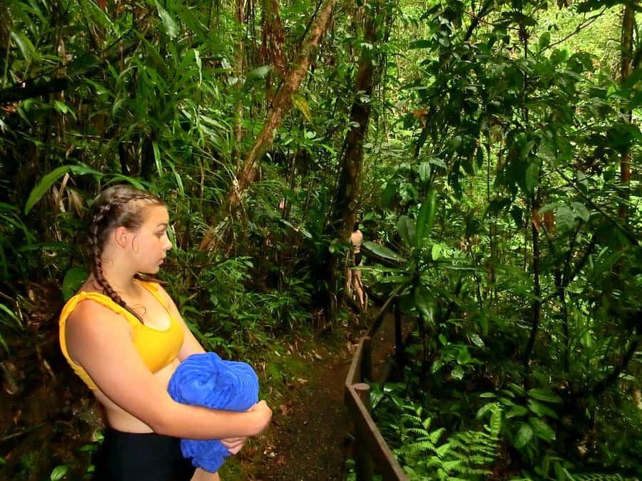 Suva: Fijian Nature and Waterfall Tour - Small details that make the day better