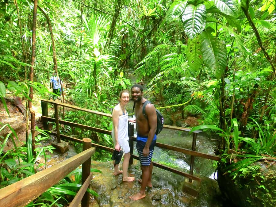 Suva: Fijian Nature and Waterfall Tour - Flora, birds, and the value of a local guide