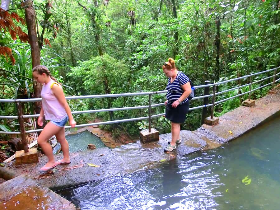 Suva: Fijian Nature and Waterfall Tour - Waisila Falls and the natural swimming pools