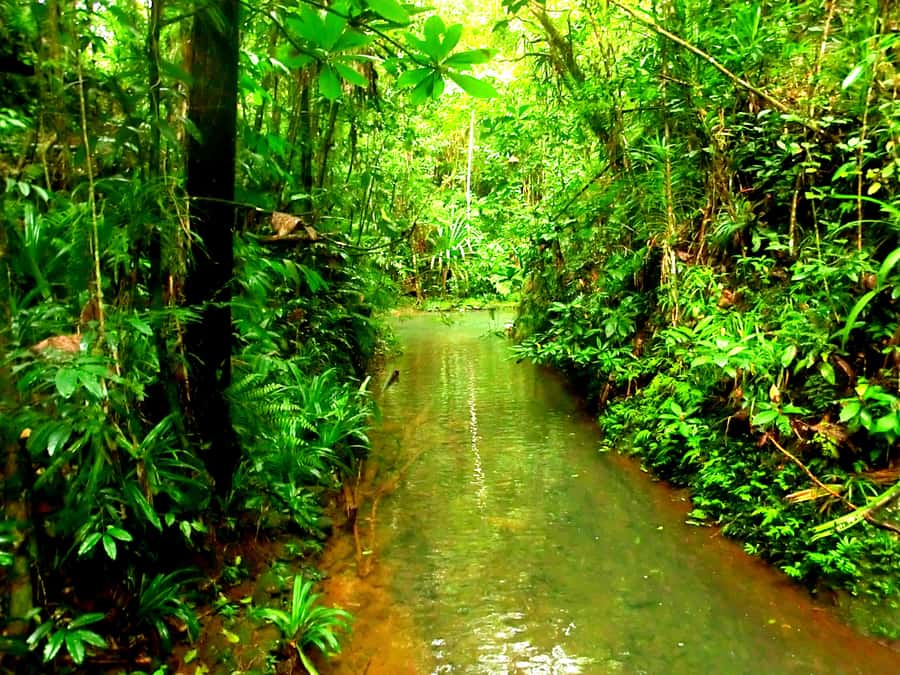 Suva: Fijian Nature and Waterfall Tour - How much $69 gets you