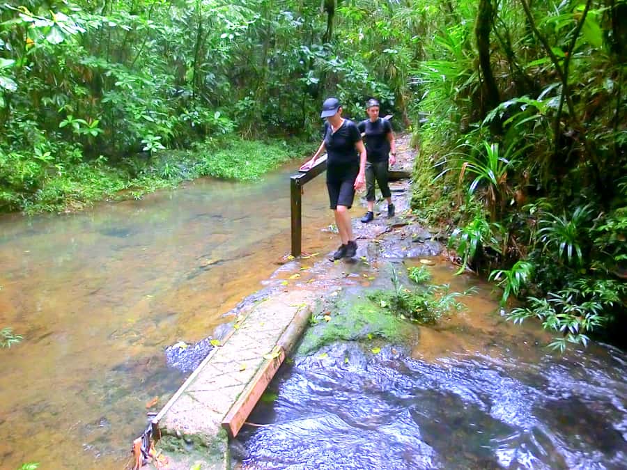 Suva: Fijian Nature and Waterfall Tour - Weather is not a minor detail