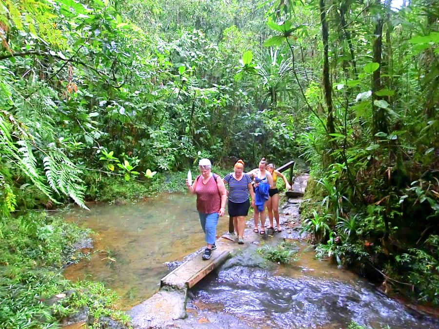 Suva: Half Day City Sightseeing Tour - What the $79 Suva tour really covers
