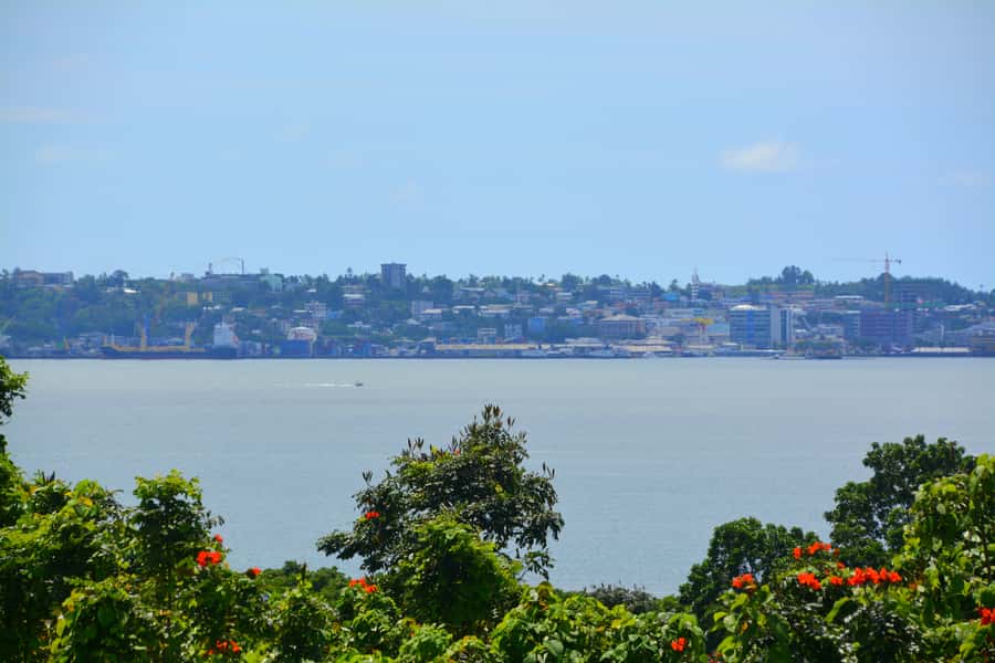 Suva: Half Day City Sightseeing Tour - Shopping at Suva Municipal Market